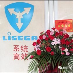 LISEGA PST – A heart-warming idea